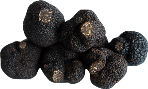 A pile of six black and dark brown truffles.