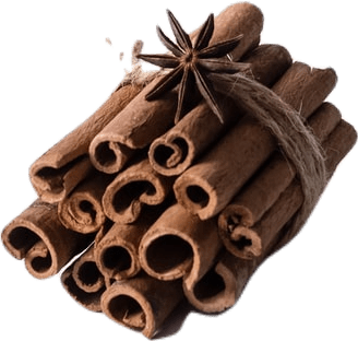 A bundle of cinnamon sticks held together by twine and topped with an anise star.