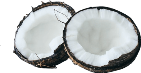 A coconut that has been cracked open, showing bright white flesh inside.