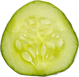 A light green slice of cucumber.