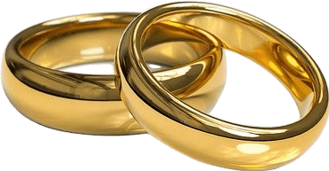 Two gold rings, as are customary for wedding rings in some cultures.