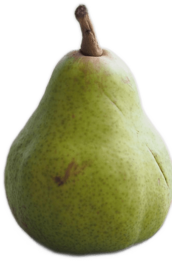 A medium-green-colored pear with a small brown stem.
