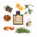 L'Homme Ideal Eau de Toilette by Guerlain Review A collage of L'Homme Ideal by Guerlain and its notes, including rosemary, orange, vetiver, orange blossom, and almonds.