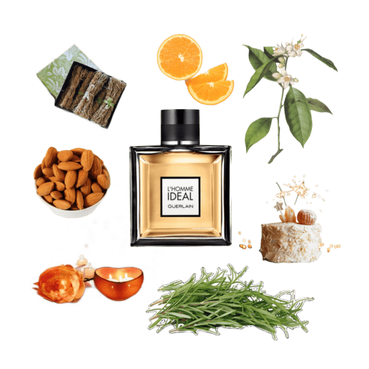 A collage of L'Homme Ideal by Guerlain and its notes, including rosemary, orange, vetiver, orange blossom, and almonds.
