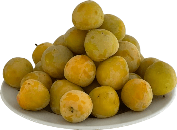 A large white plate full of yellow-green underripe mirabelle plums.