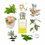 Le Jardin de Monsieur Li Eau de Toilette by Hermès Review A collage of Le Jardin de Monsieur Li by Hermès and some of its notes, including kumquat, mint, cool water, and jasmine.
