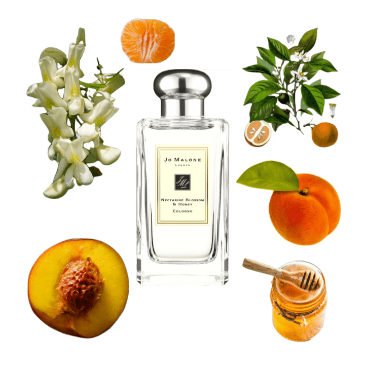 A collage of Nectarine Blossom & Honey by Jo Malone London and its notes, including nectarine and black locust flowers.