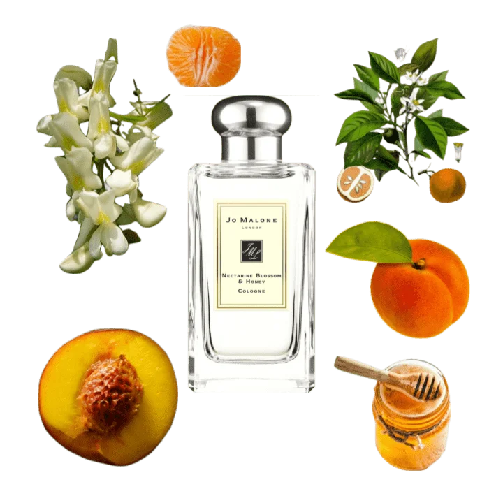 A collage of Nectarine Blossom & Honey by Jo Malone London and its notes, including nectarine and black locust flowers.