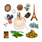 Nomade Eau de Parfum by Chloé Review A collage of Nomade by Chloe and some of its notes, including mirabelle plums, oakmoss, cinnamon, citrus, fig, and jasmine.