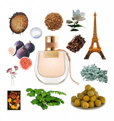 A collage of Nomade by Chloe and some of its notes, including mirabelle plums, oakmoss, cinnamon, citrus, fig, and jasmine.