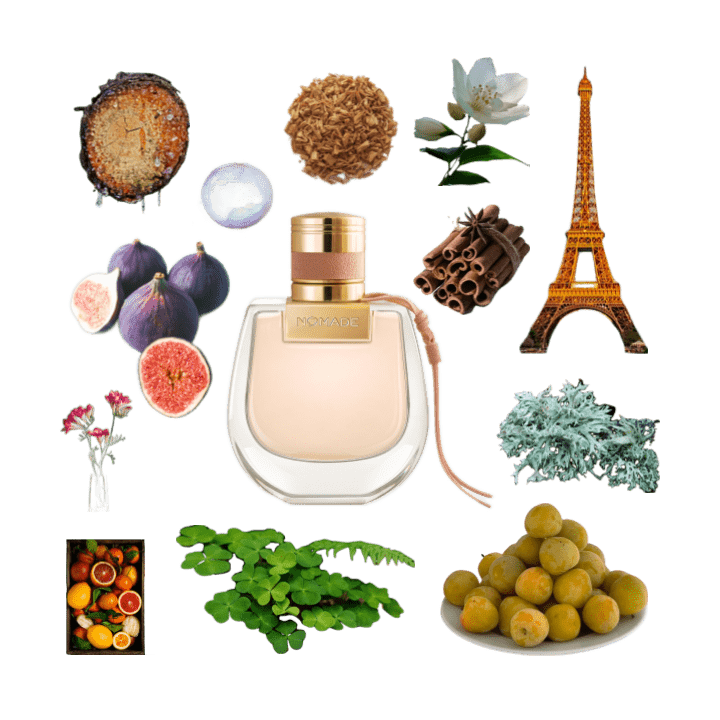 A collage of Nomade by Chloe and some of its notes, including mirabelle plums, oakmoss, cinnamon, citrus, fig, and jasmine.