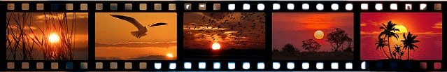 A strip of film showing five richly orange-and-red colored photos of sunsets over water.
