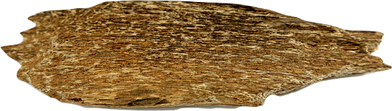 A chip of oud wood, or agarwood.