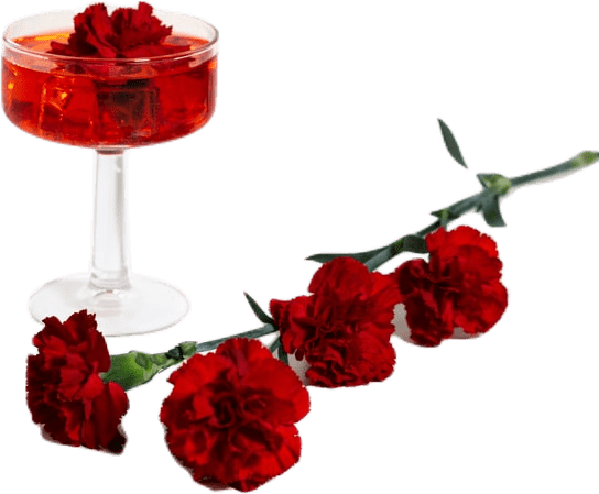 A branch of deep red carnations alongside a wide-rimmed glass filled with red liquid with another carnation flower in it.