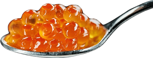 A silver spoon full of red caviar, also known as salmon roe. It is orange, and is not technically proper caviar.