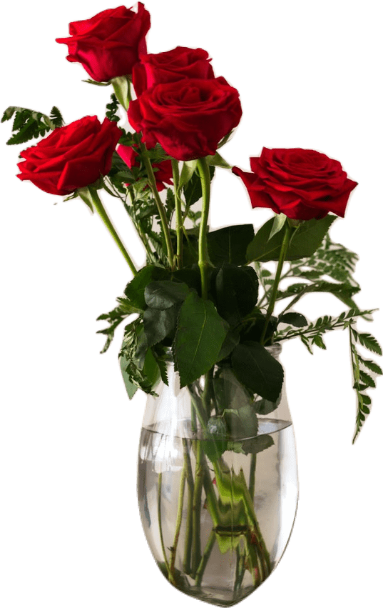 A round glass vase with six red roses surrounded by dark green leaves.