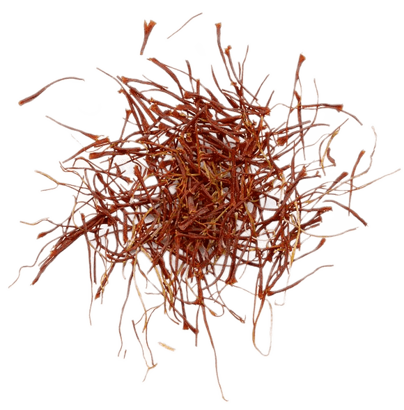 A pile of dried crimson stigmata from the crocus flower, which are used to make the spice and coloring agent saffron.