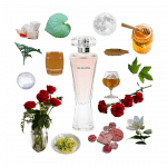 So In Love Eau de Parfum by Victoria's Secret Review A collage of So In Love perfume by Victoria's Secret with its notes, including rose, cognac, carnation, ylang, and honey.