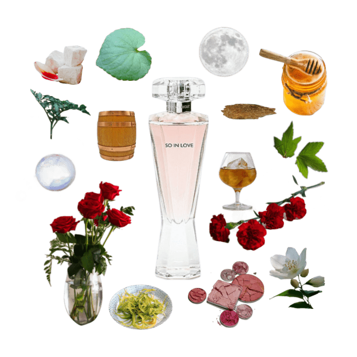 A collage of So In Love perfume by Victoria's Secret with its notes, including rose, cognac, carnation, ylang, and honey.