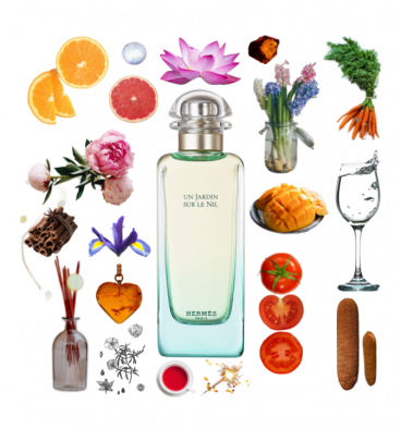 A collage of Un Jardin Sur Le Nil by Hermes and its notes, including mango, lotus, iris, amber, orange, carrot, and hyacinth.