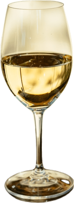 A glass of white wine with a lightly golden hue.