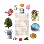 Burberry Brit Rhythm for Women Eau de Toilette by Burberry Review Collage of Burberry Brit Rhythm for Women and its notes, including lavender, aldehydes, iris, petalia, pink pepper, and wood.
