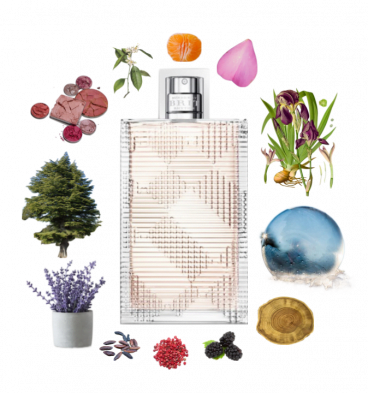 Collage of Burberry Brit Rhythm for Women and its notes, including lavender, aldehydes, iris, petalia, pink pepper, and wood.