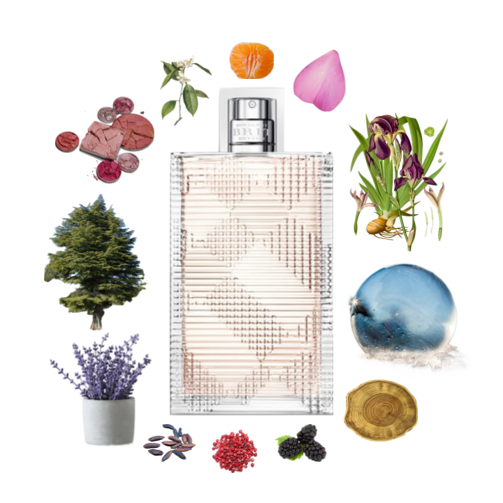 Collage of Burberry Brit Rhythm for Women and its notes, including lavender, aldehydes, iris, petalia, pink pepper, and wood.