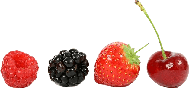 A raspberry, blackberry, strawberry, and cherry.