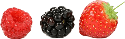 A raspberry, blackberry, and strawberry.