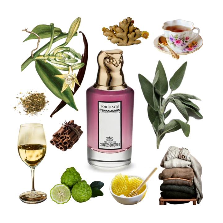 Collage of The Ruthless Countess Dorothea by Penhaligon's and its notes, including sage, white wine, ginger, and vanilla.