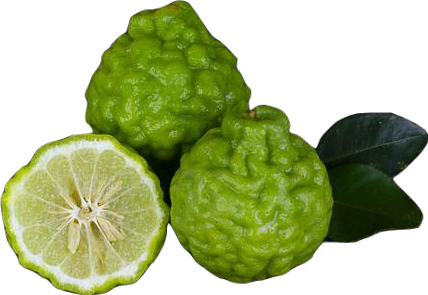 Two green bergamot citrus fruits, one of which is cut open.