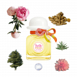 Twilly Eau Ginger Eau de Parfum by Hermès Review A collage of Twilly Eau Ginger perfume by Hermes and its notes, including peony, ginger, and cedar.