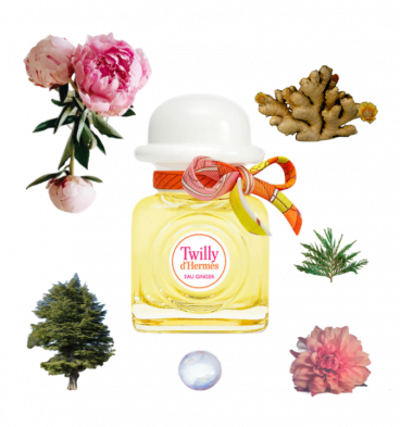 A collage of Twilly Eau Ginger perfume by Hermes and its notes, including peony, ginger, and cedar.