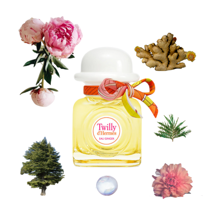 A collage of Twilly Eau Ginger perfume by Hermes and its notes, including peony, ginger, and cedar.