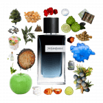 Collage of Y Eau de Parfum by YSL and its notes, including apple, bergamot, juniper, vetiver, sage, calones, and ginger.