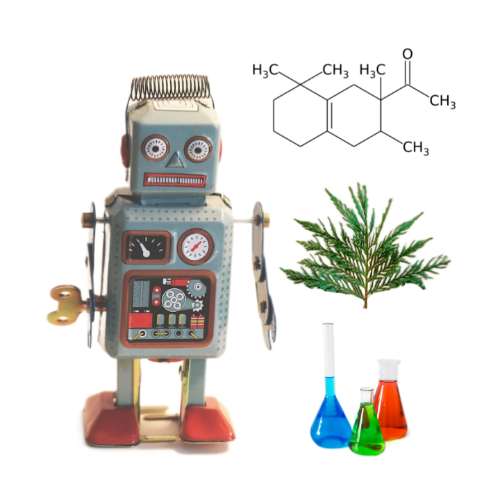 Collage of a gray wind-up toy robot, three Erlenmeyer flasks, a coniferous leaf, and a molecular diagram of Iso E Super.