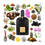 Black Orchid Eau de Parfum by Tom Ford Review Collage of Black Orchid by Tom Ford and its notes, including chocolate, truffle, spice, flowers, sandalwood, amber and fruit.