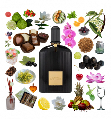 Collage of Black Orchid by Tom Ford and its notes, including chocolate, truffle, spice, flowers, sandalwood, amber and fruit.