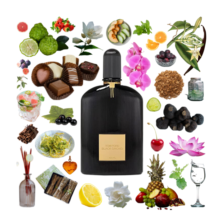 Collage of Black Orchid by Tom Ford and its notes, including chocolate, truffle, spice, flowers, sandalwood, amber and fruit.