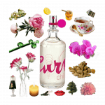 Curve Chill for Women Eau de Toilette by Liz Claiborne Review Collage of Curve Chill for Women by Liz Claiborne and its notes, including sweet pea, peony, freesia, ginger, lemon, and tea.