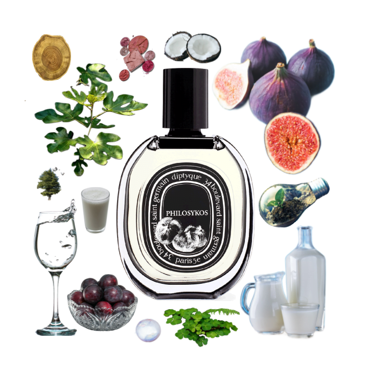 Collage of Diptyque's Philosykos EdP and its notes, including fig, fig leaf, coconut, woody notes, cedar, and sap.