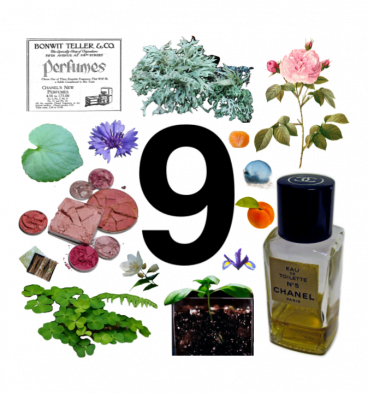 Collage of 9 in Chanel Couture font surrounded by a vintage perfume ad, vbottle of Chanel No. 5, and several perfume notes.