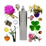 Truth Sensual Bedtime Fragrance by Calvin Klein Review Collage of Calvin Klein's Truth Sensual Bedtime Fragrance and its notes, including clover, bamboo, peony, mimosa, and amber.
