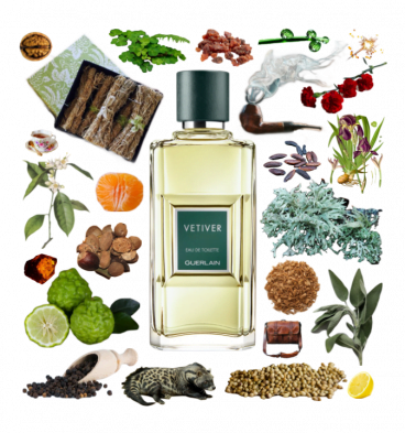 Collage of Guerlain's Vetiver and its notes, including sage, bergamot, lemon, civet, myrrh, nutmeg, tea, tonka, and oakmoss.