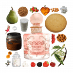 Fancy Eau de Parfum by Jessica Simpson Review Collage of Fancy by Jessica Simpson and its notes including caramel, vanilla, berries, pear, apricot, milk, and sugar cookie.