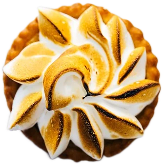 A lemon meringue pie with browned tips and a shortbread crust.