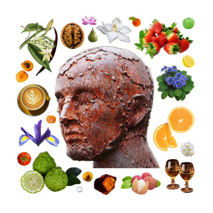 Collage of the rusted head of an iron statue of a person surrounded by fruit, flowers, nuts, coffee, and other scent notes.