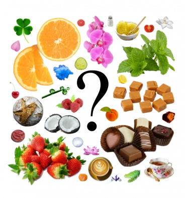 Collage of a question mark and a number of scent notes including coconut, coffee, orange, tea, bread, mint, salt, and peach.