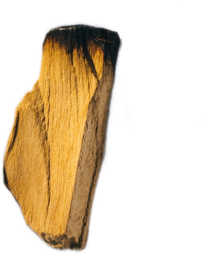A short, thick pale golden-white stub of palo santo or guaiac wood incense, lightly charred on one end.